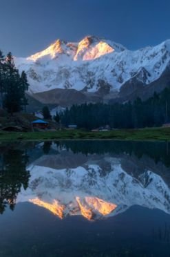 Fairy Meadows