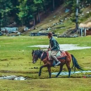 Horse Riding