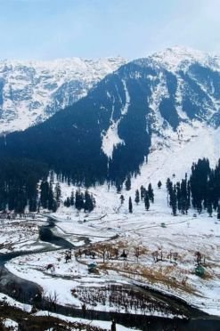 Kashmir