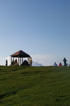 Mushkpuri Top