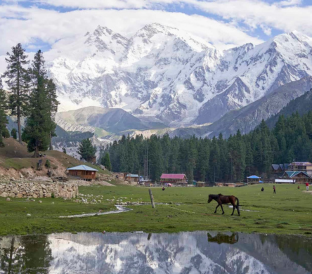 Fairy Meadows Destination