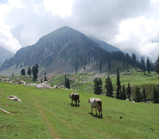 Jahaz Banda Destination